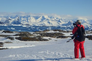 طيور البطريق الإمبراطور ايضاً الهليكوبتر