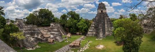 Mex1n